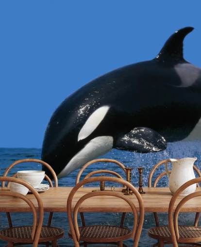 Orca Hintergrundbild Orca Hintergrundbild