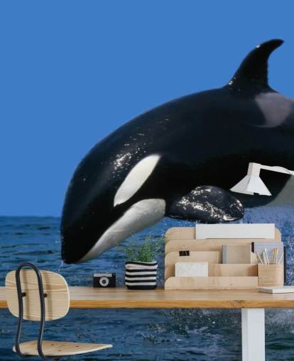 Orca doPapel Orca doPapel