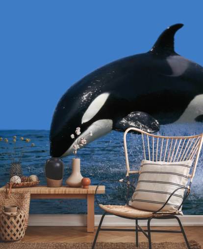 Orca Baggrund Orca Baggrund