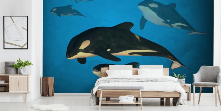 Orca-Whale-Familie Fototapete