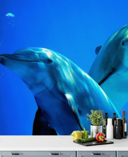 Decorazione murale con due delfini che sorridono alla telecamera Decorazione murale con due delfini che sorridono alla telecamera