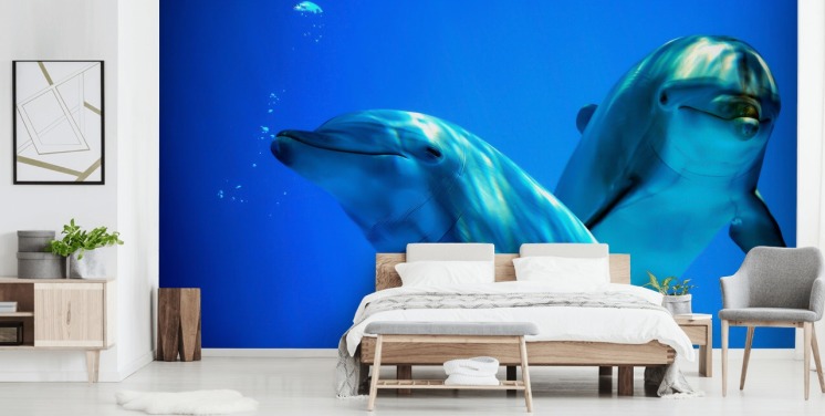 Decorazione murale con due delfini che sorridono alla telecamera