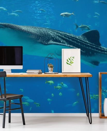 Whale Shark Wallpaper Whale Shark Wallpaper