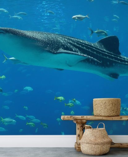 Papel Pintado Tiburón Papel Pintado Tiburón