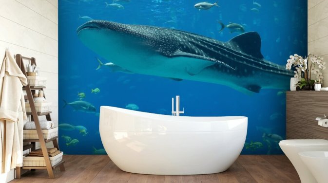 Whale Shark Taustakuva