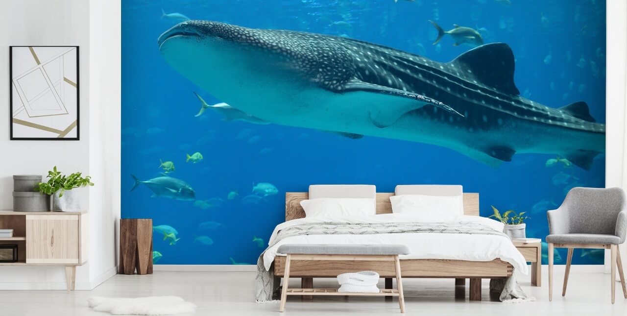 Whale Shark behang