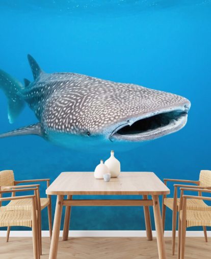 Muurschildering Spotted Whale Muurschildering Spotted Whale