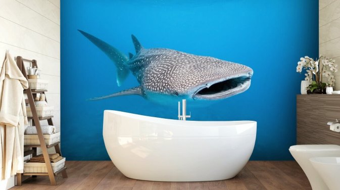 Muurschildering Spotted Whale