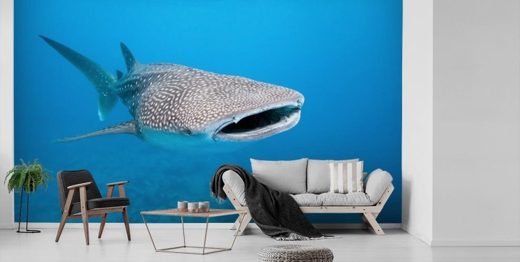 Murale Requin-Baleine