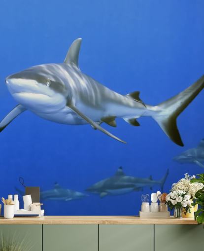 Shark and Friends Wallpaper Shark and Friends Wallpaper