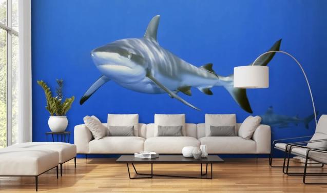 Shark and Friends Wallpaper
