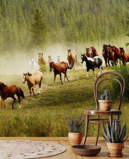 Fondo de pantalla de diferentes razas de caballos que corren en el campo de pino Fondo de pantalla de diferentes razas de caballos que corren en el campo de pino