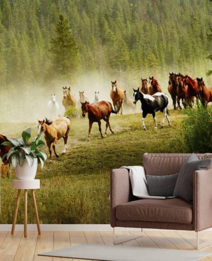 Wild forskjellige raser av hester kjører i Pine Tree Field Bakgrunn Wild forskjellige raser av hester kjører i Pine Tree Field Bakgrunn