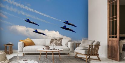 blue angels wall mural