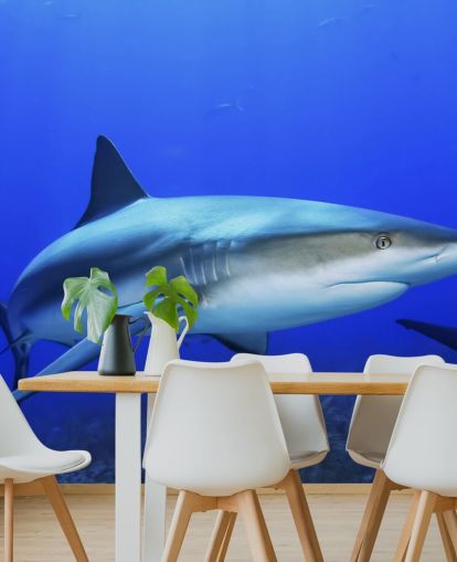 Murale Requin solitaire Murale Requin solitaire