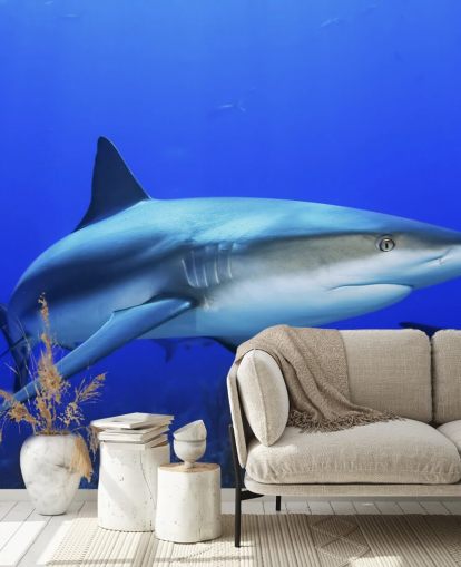 Mural tubarão solitário Mural tubarão solitário