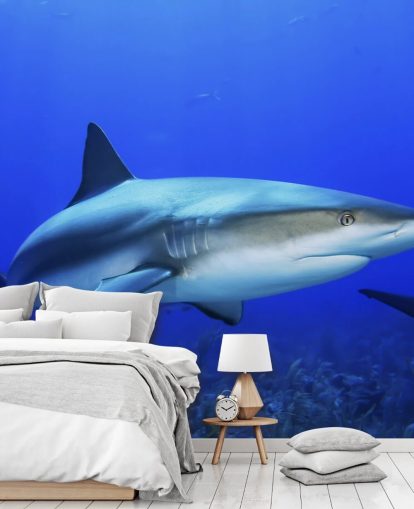 Lonely Shark Mural Lonely Shark Mural