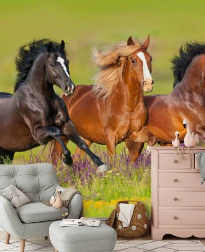 Three Horses Running in a Heather Field Wallpaper Three Horses Running in a Heather Field Wallpaper