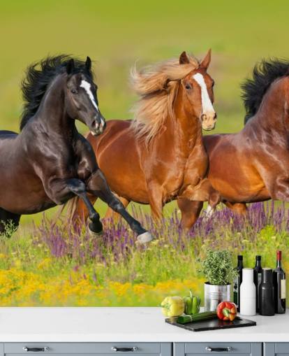 Tre hester kjører i en Heather Field Bakgrunn Tre hester kjører i en Heather Field Bakgrunn