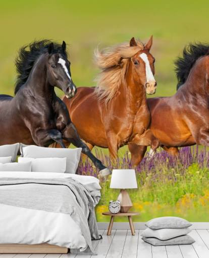 Fondo de pantalla de Tres caballos corriendo en un campo de brezo Fondo de pantalla de Tres caballos corriendo en un campo de brezo