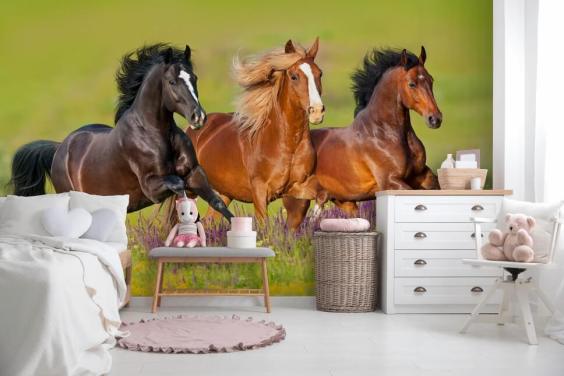 Drie paarden rennen in een Heather Field Wallpaper