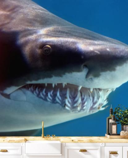 Mural de parede assustador sorriso tubarão Mural de parede assustador sorriso tubarão
