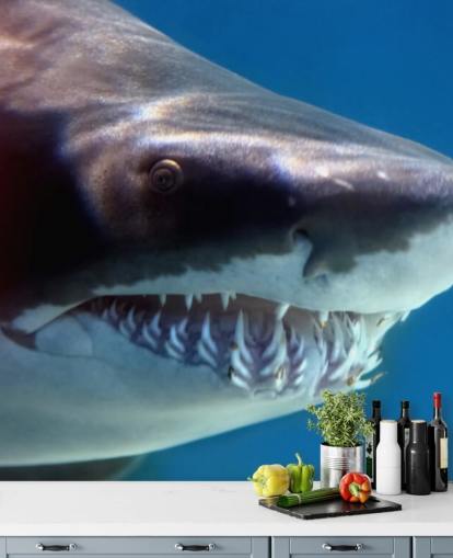 Scary Shark Smile Wall Mural Scary Shark Smile Wall Mural