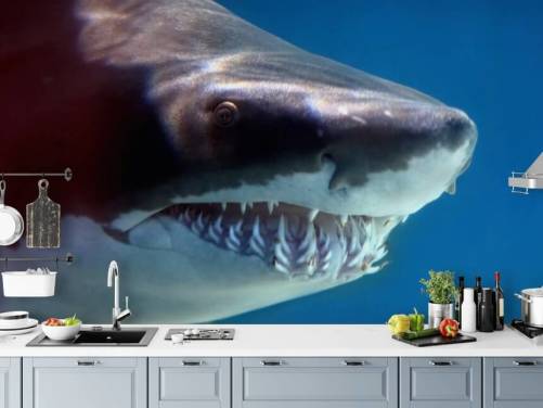 Skræmmende Shark Smile vægmaleri