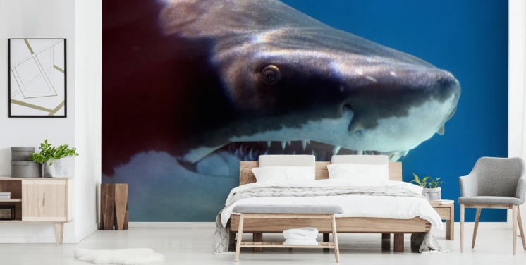 Skummelt Shark Smil Veggmaleri