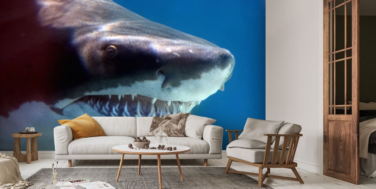 Shark Smile Wallpaper | Wallsauce US