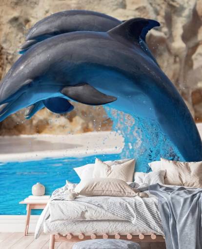 Two Dolphins in Zoo Wallpaper Two Dolphins in Zoo Wallpaper