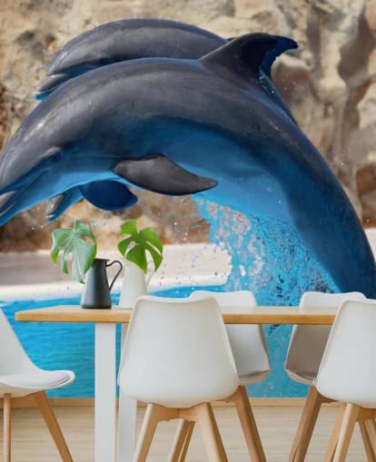 Fondo de pantalla Dos delfines en el zoológico Fondo de pantalla Dos delfines en el zoológico