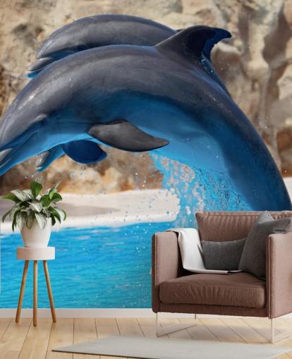 Two Dolphins in Zoo Wallpaper Two Dolphins in Zoo Wallpaper