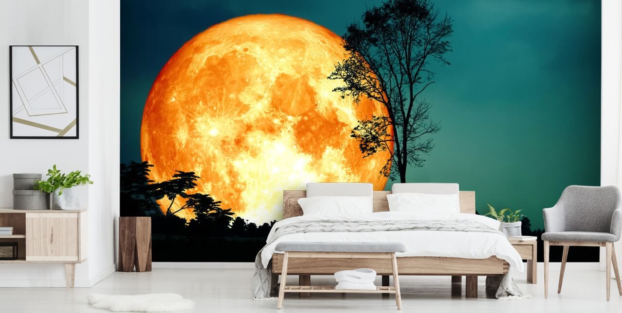 Huge Orange Room and Tree Silhouette Wallpaper Huge Orange Room and Tree Silhouette Wallpaper