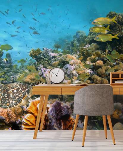 Papel de Parede Coral e Vida Marinha Papel de Parede Coral e Vida Marinha