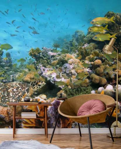 Papel de Parede Coral e Vida Marinha Papel de Parede Coral e Vida Marinha