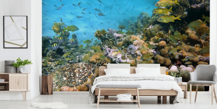 Korall och Sea Life Bakgrund