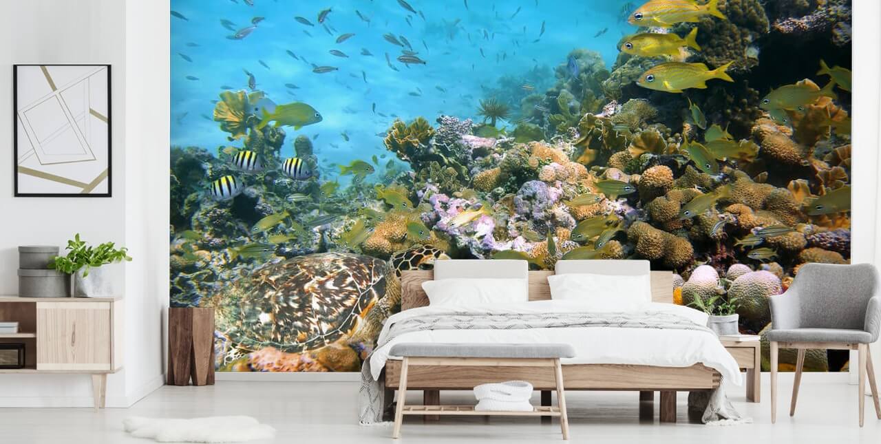 Coral og Sea Life Baggrund