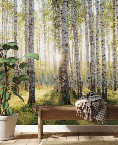 Birch Tree Forest Wallpaper Birch Tree Forest Wallpaper