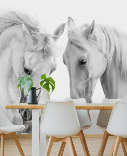 fondo de pantalla de retrato en blanco y negro de dos caballos fondo de pantalla de retrato en blanco y negro de dos caballos