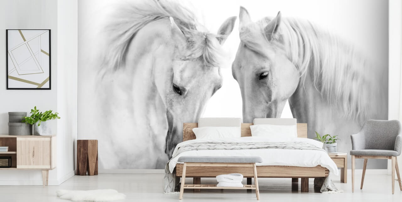 black and white portrait of two horses wallpaper