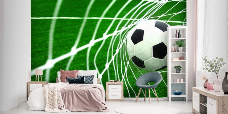 Football in the Net Wallpaper Mural