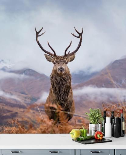 stag in misty landscape wallpaper stag in misty landscape wallpaper