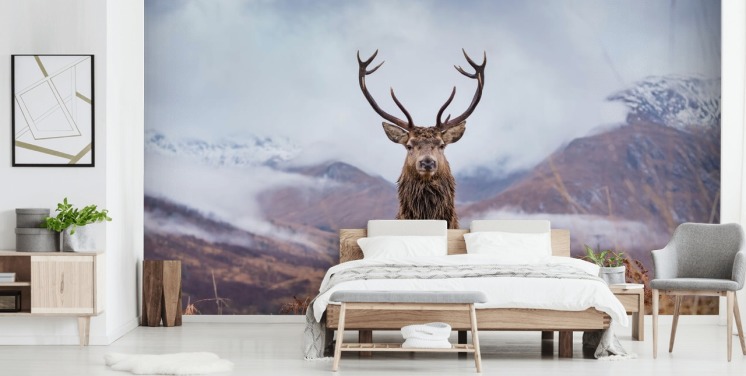 cerf dans le papier peint paysage brumeux