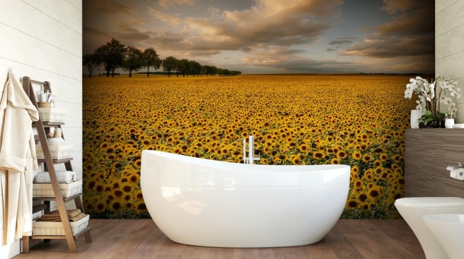 vast field of sunflowers under a cloudy sky wallpaper