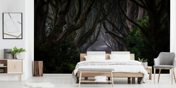 dark forest wallpaper mural called Magic Road for bedrooms, living rooms and home offices