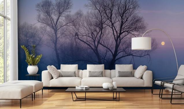 Forest Wallpaper & Tree Wall Murals | Wallsauce UK