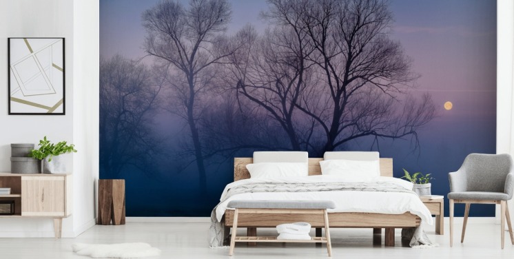 papel tapiz azul misty tree