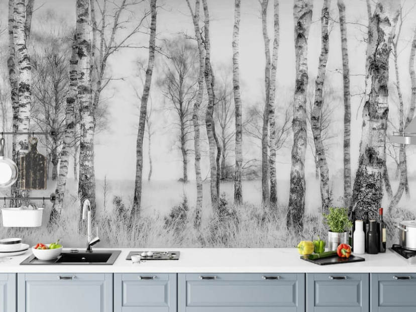 Forest Wallpaper & Tree Wall Murals | Wallsauce US