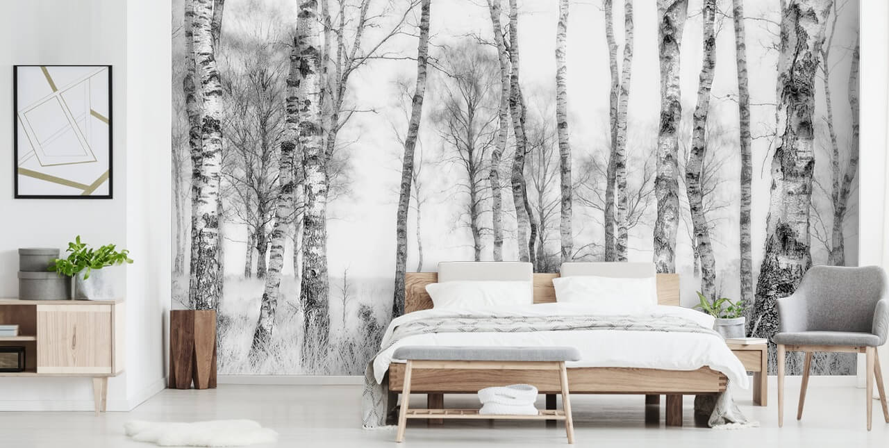 mural de parede florestal com efeito de esboço de árvore de vidoeiro preto e branco mural de parede florestal com efeito de esboço de árvore de vidoeiro preto e branco